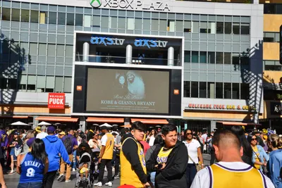 DSC_7192 (Large).JPG